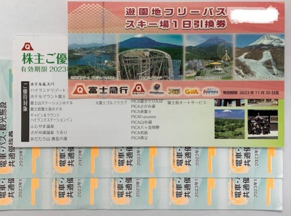 日本売品 富士急行 株主優待 富士急ハイランド 販売 時期:6900円 アミューズメントパーク/テーマパーク PICA初島入場券(大人3名分).富士急行優待割引券