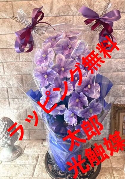 光触媒 人工観葉植物 ウォールグリーン フェイクグリーン 胡蝶蘭6733v