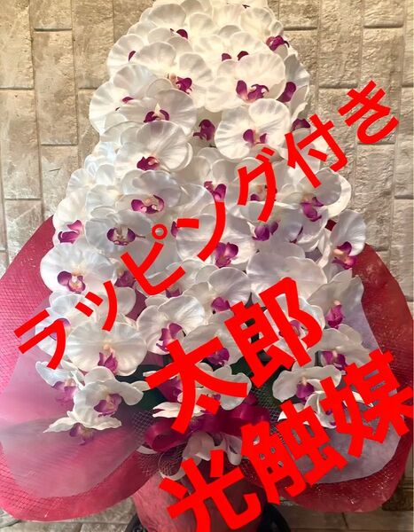 光触媒 人工観葉植物 ウォールグリーン フェイクグリーン 胡蝶蘭9362