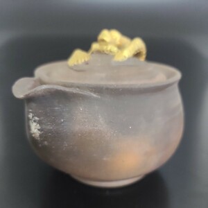 s86). bin unused gold paint dragon ... Ono wide person inspection : small teapot Bizen . Yakishime 