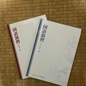 国語大学入試問題集　現代文、古文・漢文(東大) (早稲田) (センター試験)