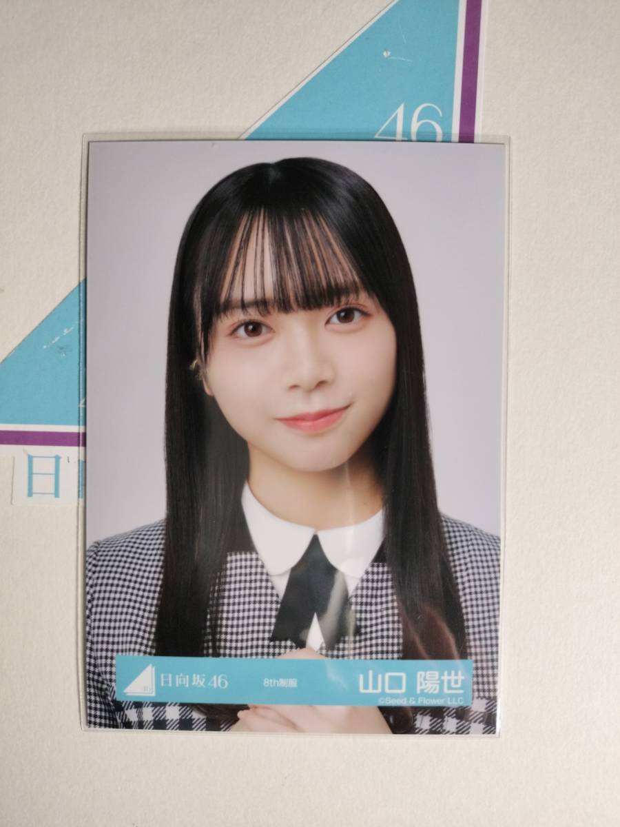 新品本物 日向坂46 生写真380枚セット アイドル - education.semel
