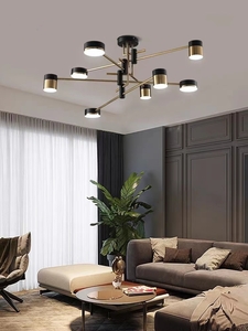  popular beautiful goods * Northern Europe manner 8 light pendant light chandelier LED lamp ceiling lighting equipment ceiling light 