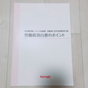 社会保険労務士　2023年度試験対策　労働経済白書のポイント フォーサイト