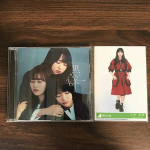 D421 帯付 中古CD100円 欅坂46 黒い羊 (TYPE-D) (CD+Blu-ray)