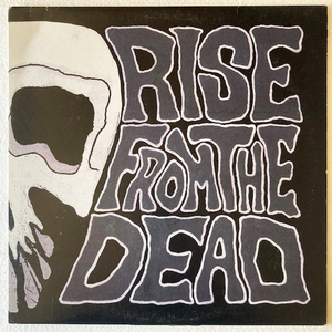 【国内盤 / LP】 RISE FROM THE DEAD / Rock Fan Dead 【S.O.B. / SFAN-000】