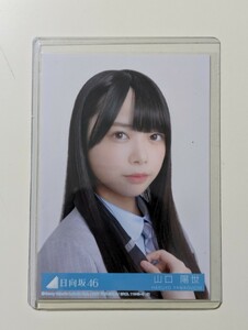 日向坂46　山口陽世「ってか」封入生写真　ヨリ