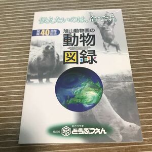  asahi гора зоопарк. животное альбом с иллюстрациями дополнение. Hokkaido DVD. пол. память 