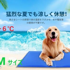 【体感温度-6】　ペット用 冷却シート　 ひんやりシート　 車用　使い方いろいろ　熱中症対策　　Mサイズ