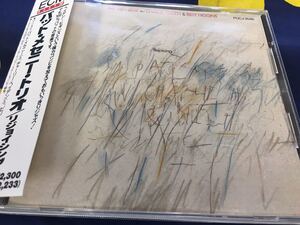 Pat Metheny★中古CD国内盤帯付「パット・メセニー～リジョイシング」