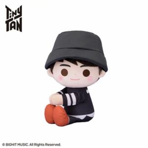 TinyTAN スペシャルくっつきぬいぐるみ MIC Drop ジョングク Jung Kookタイニータン BTS 防弾少年団 BIG ジャンボ グッズ プライズ セガ