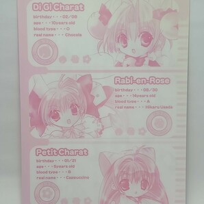 デ・ジ・キャラット 下敷き (でじこ＆ぷちこ＆うさだ)  グッズ 当時物 ブロッコリー の画像2