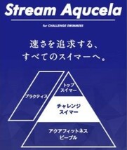 【新品】Mizunoミズノ●レース用競泳水着 メンズ ストリームアクセラ ハーフスパッツ FINA承認●紫XS●6450円●N2MB602169アマゾン以下特価_画像3