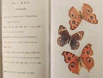 分類 原色日本昆虫図鑑11 鱗翅目 じゃのめてふ・もわんてふ◆加藤正世/厚生閣/昭和8年_画像2