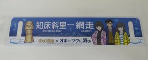 ☆保管品!JR北海道 流氷物語×オホーツクに消ゆ 網走-知床斜里 レプリカサボ☆