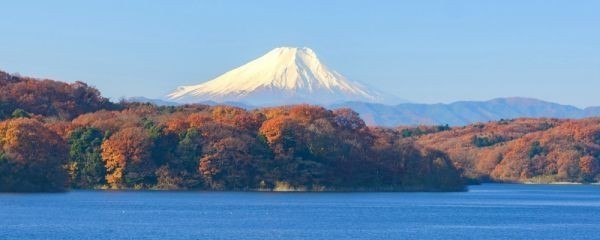 秋天的富士, 秋天的落叶中的富士山, 狭山湖, 枫树全景绘画风格壁纸海报, 超大全景版1440 x 376 mm(可剥离贴纸型)103P1, 印刷品, 海报, 科学, 自然