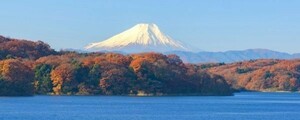 Art hand Auction Fuji d'automne, Mont Fuji dans les feuilles d'automne, Lac Sayama, affiche de papier peint de style peinture panoramique en érable, version panoramique extra large 1440 x 376 mm (type autocollant pelable) 103P1, imprimé, affiche, science, Nature