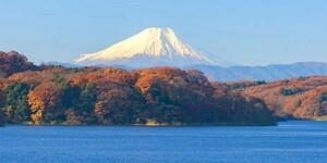  autumn Fuji . leaf. Mt Fuji . mountain lake maple panorama picture manner wallpaper poster extra-large version 1152×376mm( is ... seal type )103S1