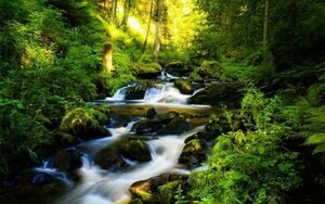 Art hand Auction Forest Spring Mountain Stream Water Flow Forest Bathing Healing Painting Style Wallpaper Poster Extra Large Wide Version 921 x 576 mm (Peelable Sticker Type) 021W1, printed matter, poster, others