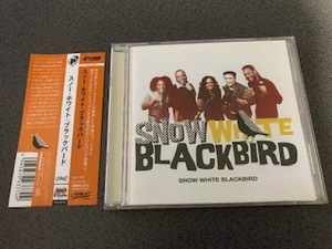Snow White Blackbird『スノウ・ホワイト・ブラックバード』国内盤CD【帯・歌詞・対訳・解説付き】