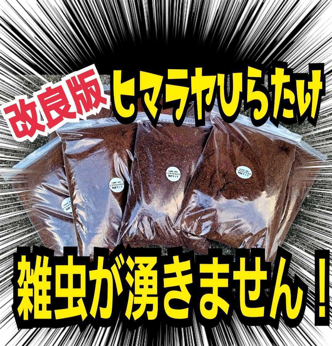 Yahoo!オークション -「ヒマラヤひらたけ菌床発酵マット」の落札 Yahoo!オークション -「ヒマラヤひらたけ菌床発酵マット」の落札
