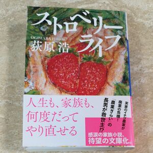 ストロベリーライフ （毎日文庫　お１－１） 荻原浩／著