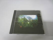 Sad Lovers & Giants/Epic Garden Music UK向France盤CD ポストパンク ネオサイケ Snake Corps And Also The Trees Essence Cure _画像1