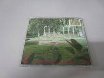 Sad Lovers & Giants/Epic Garden Music UK向France盤CD ポストパンク ネオサイケ Snake Corps And Also The Trees Essence Cure _画像3