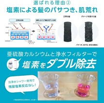 【美品】日丸屋製作所 シャワーヘッド 日本製塩素除去剤 節水 浄水 止水ボタン 水流調整 角度調整 アダプター付　(シルバー/銀)　no.1200_画像3