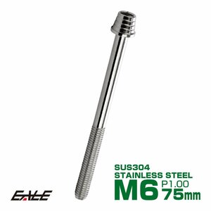 M6×75mm ステンレス テーパーシェルヘッドボルト キャップボルト クランクケース等エンジン周りに シルバー TB0261