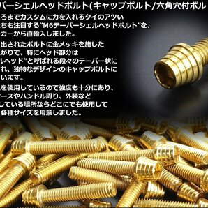 M6×40mm ステンレス テーパーシェルヘッドボルト キャップボルト クランクケース等エンジン周りに ゴールド TB0313の画像3