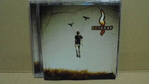 CD★フライリーフ★女性がヴォーカルのメタリックな人気バンド★Flyleaf★輸入盤★同梱発送可能