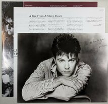 中古LP「Between two fires / ビトゥイーン・トゥー・ファイアズ」Paul Young / ポール・ヤング_画像3