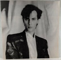 中古LP「Should The World Fail To Fall Apart / 凍てついた世界へ」PETER　MURPHY / ピーター・マーフィー_画像5