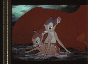  Bambi 35mm фильм плёнка woruto Disney произведение ferric s The ru тонн оригинальное произведение Hardy -oru яркий do need una gun *BAMBI продолжение 5 koma 