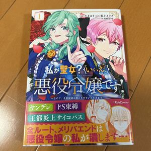 私が聖女？いいえ、悪役令嬢です！　1巻