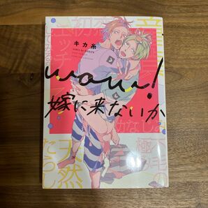 wow！ 嫁に来ないか キカ糸