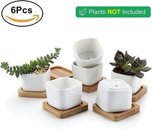 新品 箱付き 【6点セット】 植木鉢 サボテン鉢 多肉植物鉢 陶器鉢 竹トレイ付き 底穴付き 6個入り ミニ植物適用 白 ギフト さぼてん 花