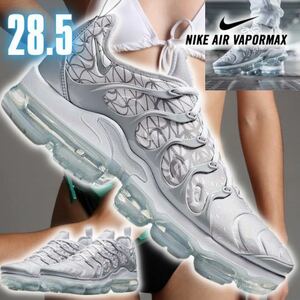 NIKE AIR VAPORMAX PLUS 28.5 WRL01 ナイキ エア ヴェイパーマックス ヴァイパー スニーカー ホワイト グレー