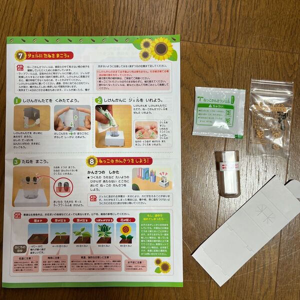 チャレンジ1年生教材 ひまわりの根っこ観察キット Benesse