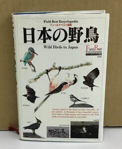 K0824-01　日本の野鳥　フィールドベスト図鑑　8　小宮輝之　学習研究社　発行日：2000年5月11日　初版