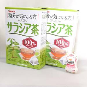 サラシア茶　2箱　山本漢方