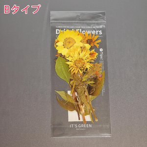 【1柄6枚入】 ひまわり ドライフラワー 植物 おしゃれ 花 ステッカー シール Dryed Flowers Sticker LARGE 大きめ リアル 鮮やか 