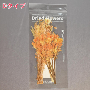 【1柄6枚入】 Dタイプ ドライフラワー 植物 おしゃれ 花 ステッカー シール Dryed Flowers Sticker LARGE 大きめ リアル 鮮やか 