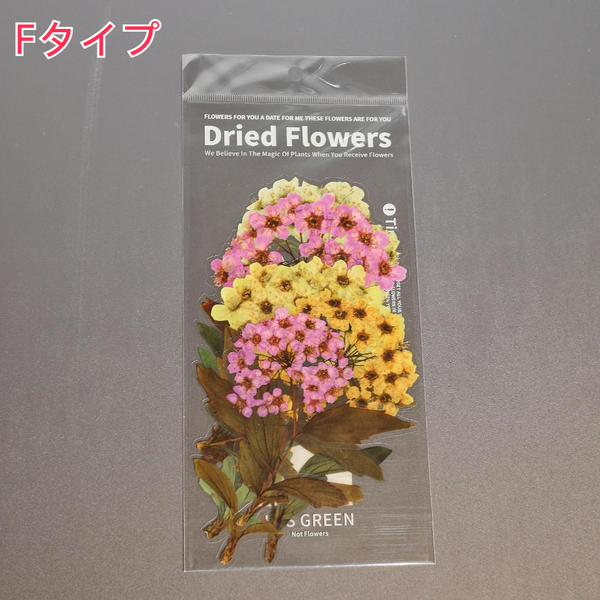 【1柄6枚入】 Fタイプ ドライフラワー 植物 おしゃれ 花 ステッカー シール Dryed Flowers Sticker LARGE 大きめ リアル 鮮やか 