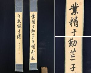 真作/貫名海屋/書/対幅/業精于勤荒于嬉/行成于思毀于隨//掛軸☆宝船☆AD-289