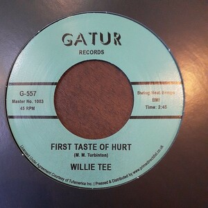 WILLIE TEE / FIRST TASTE OF HURT / I'M HAVING SO MUCH FUN /7インチ,NEW ORLEANS RARE SOUL