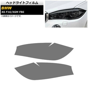 ヘッドライトフィルム BMW X6/X6 M F16/F86 2014年～2019年 スモーク TPU素材 AP-XT1811-SM 入数：1セット(左右)