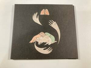 【1】M5929◆Purity Ring／Shrines◆ピュリティ・リング◆輸入盤◆