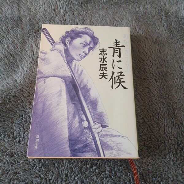 青に候 （新潮文庫　し－３５－１３） 志水辰夫／著